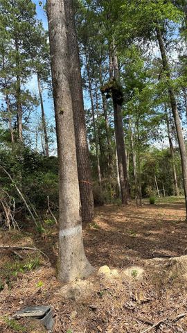 775 Huckleberry Circle, Onalaska, TX 77360
