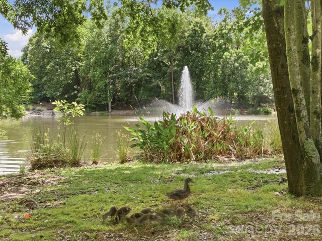 9804 Park Springs Court, Charlotte, NC 28210