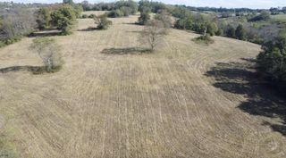 1015 Old Stone Church Road, Winchester, KY 40391