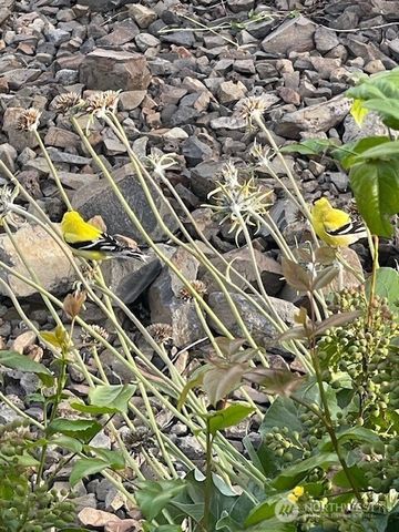 2312 Canyon Hills Drive, East Wenatchee, WA 98802