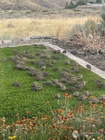 2312 Canyon Hills Drive, East Wenatchee, WA 98802