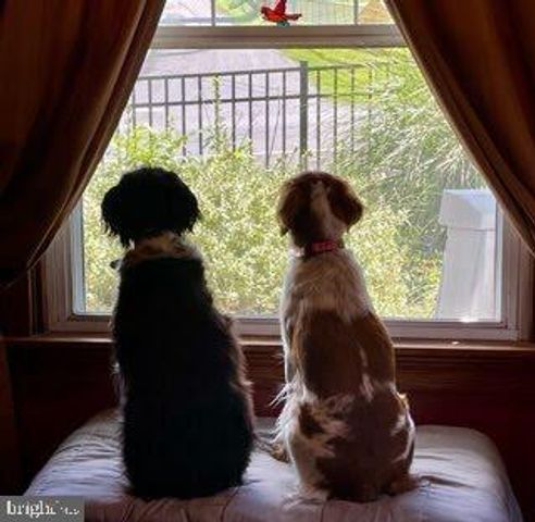 5506 JEFFERSON PIKE, Frederick, MD 21703