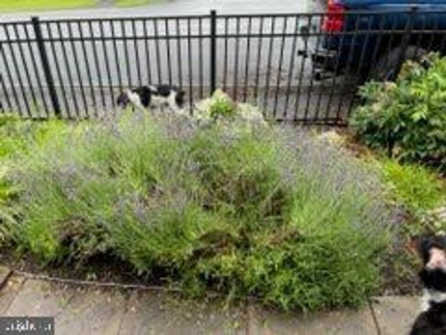 5506 JEFFERSON PIKE, Frederick, MD 21703