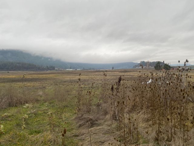 13xx Indian Springs Trl, Chewelah, WA 99019