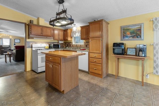 131 Birchbark Drive, Elyria, OH 44035