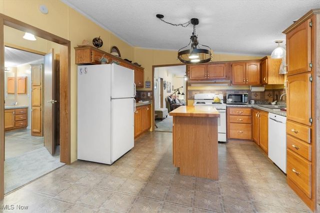 131 Birchbark Drive, Elyria, OH 44035