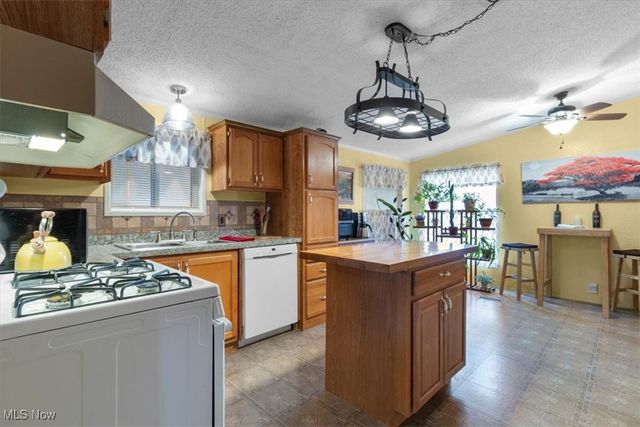 131 Birchbark Drive, Elyria, OH 44035