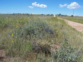 0 Galloway/Belgian Avenue, Moriarty, NM 87035