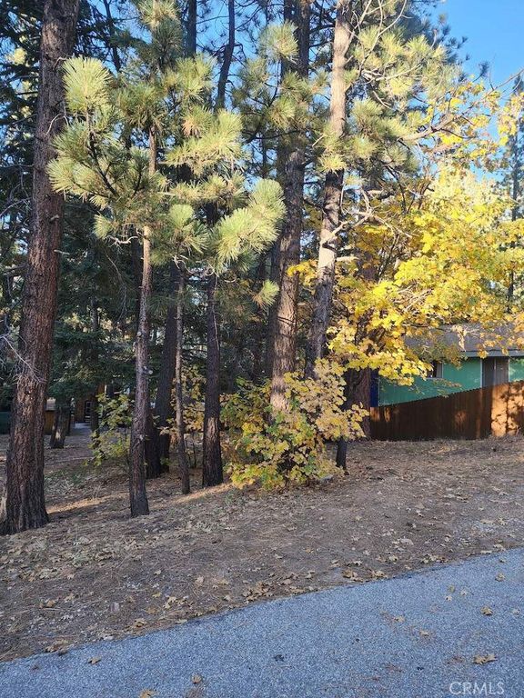 42736 Willow Avenue, Big Bear Lake, CA 92315