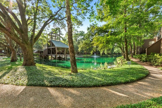 282 Litchfield Lane, Houston, TX 77024