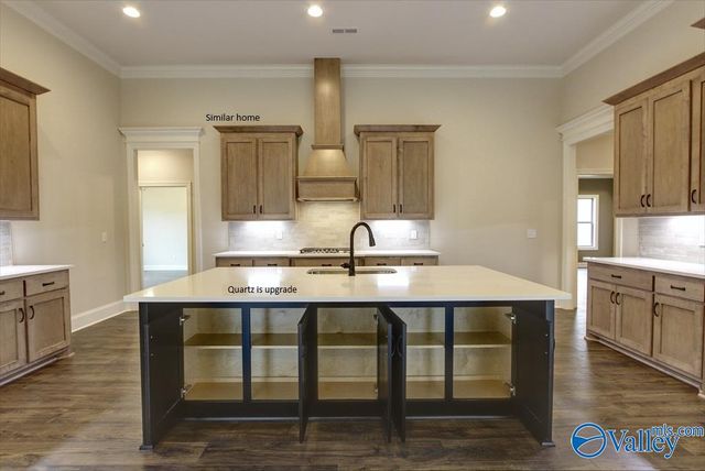 Kingston A Narayan Street, Madison, AL 35756