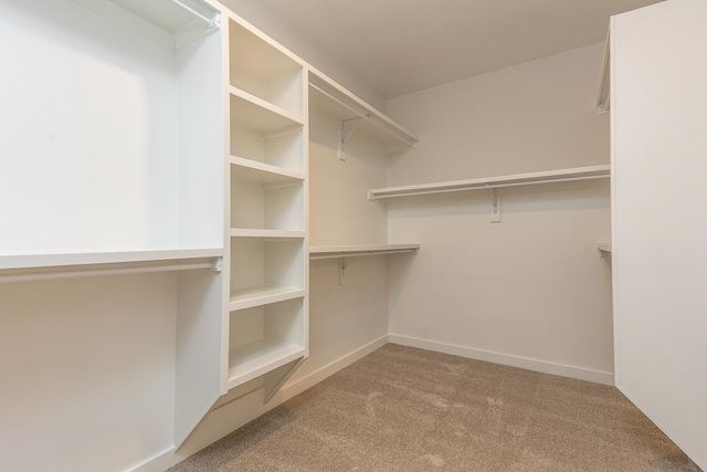 10155 CONNER FIELD LN, Lakeland, TN 38002