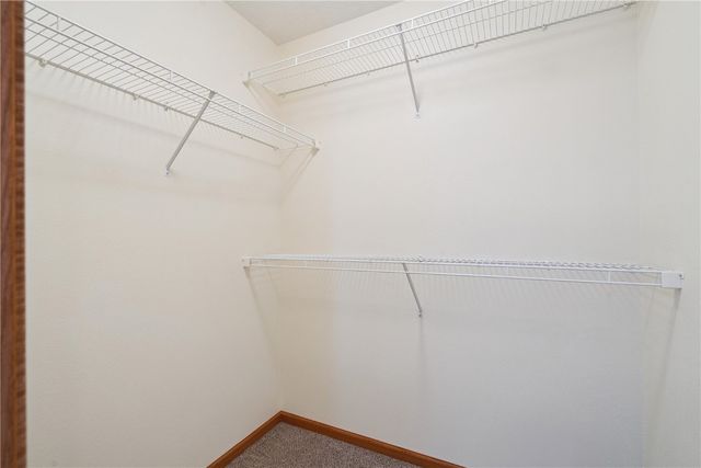 175 Alydar Drive, North Liberty, IA 52317