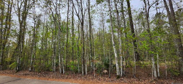 Lot C-1 Jessie Sibley Rd, Walker, LA 70785