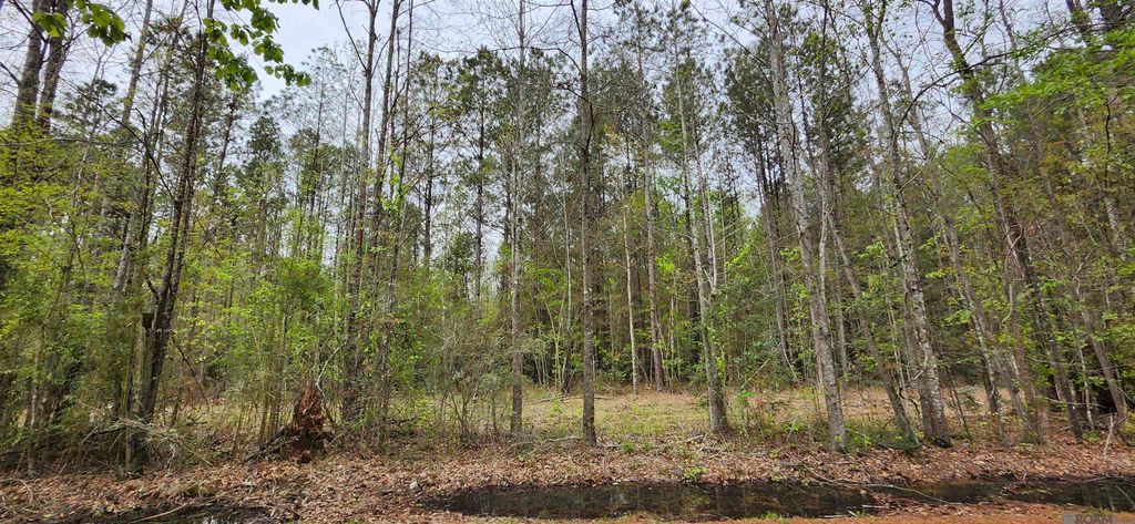 Lot C-1 Jessie Sibley Rd, Walker, LA 70785