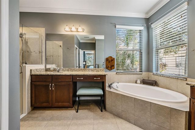 19341 RED SKY COURT, Land O Lakes, FL 34638