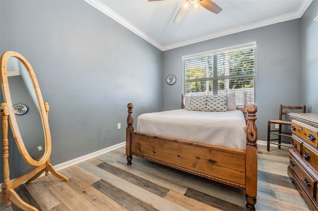 19341 RED SKY COURT, Land O Lakes, FL 34638