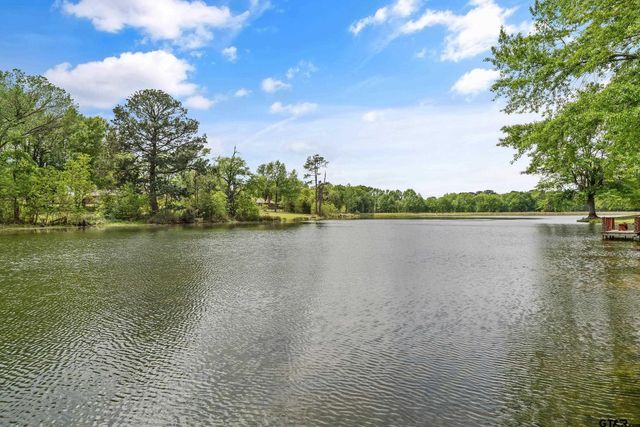 233 Lakeside Place, Mineola, TX 75773