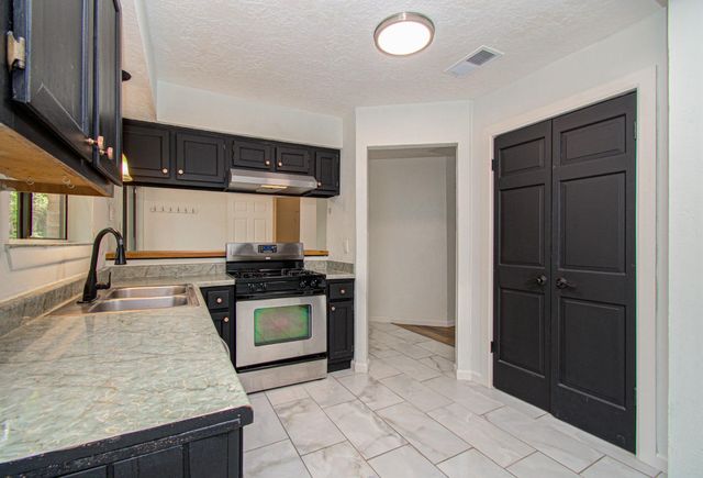 19 Tremont Woods Court, The Woodlands, TX 77381