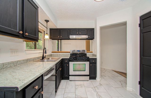 19 Tremont Woods Court, The Woodlands, TX 77381