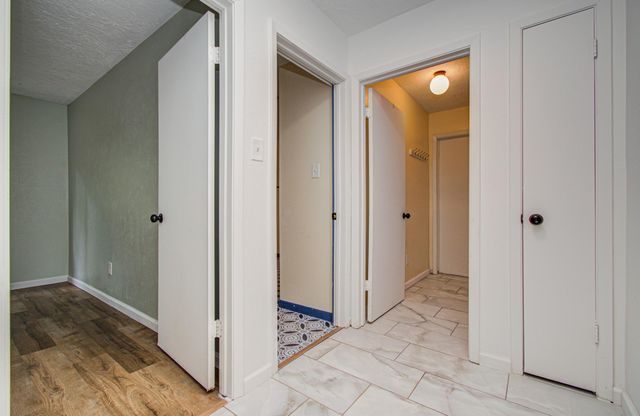19 Tremont Woods Court, The Woodlands, TX 77381