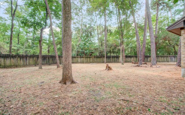 19 Tremont Woods Court, The Woodlands, TX 77381