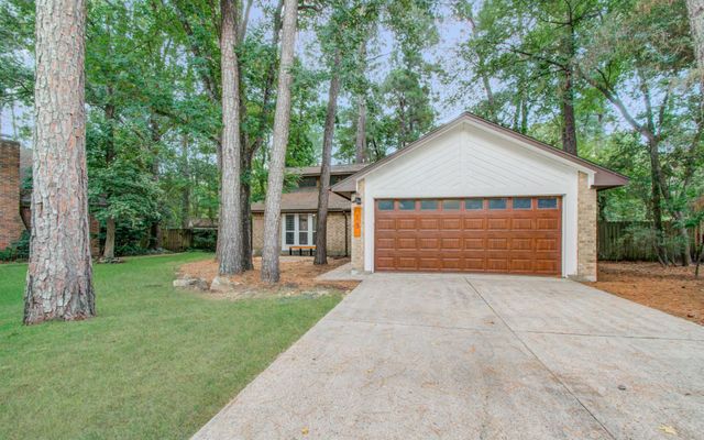 19 Tremont Woods Court, The Woodlands, TX 77381
