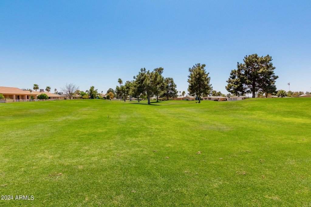Image 30 of property listing at 25629 S ONTARIO Drive, Sun Lakes, AZ 85248