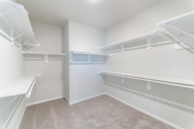 2806 Obsidian Drive, Rosharon, TX 77583