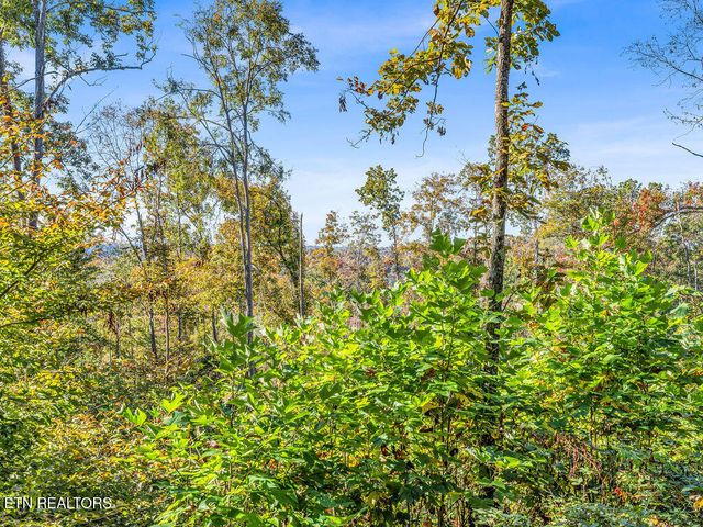 Friendship Hollow Rd, Speedwell, TN 37870