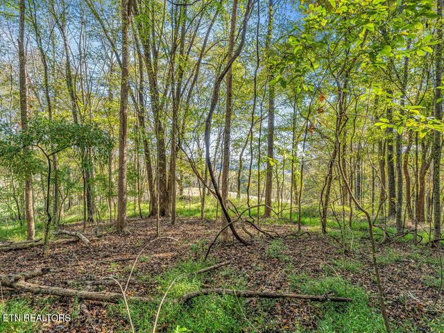 Friendship Hollow Rd, Speedwell, TN 37870