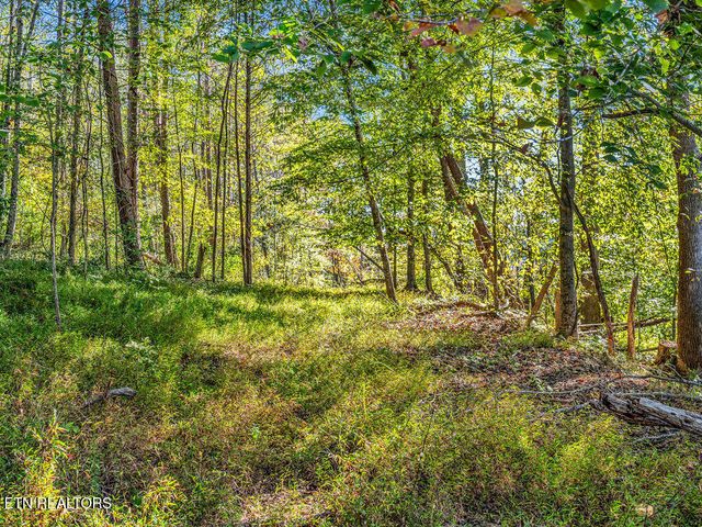 Friendship Hollow Rd, Speedwell, TN 37870