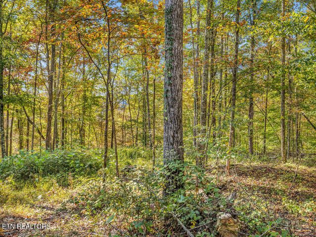 Friendship Hollow Rd, Speedwell, TN 37870