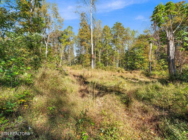 Friendship Hollow Rd, Speedwell, TN 37870