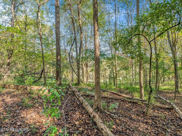 Friendship Hollow Rd, Speedwell, TN 37870