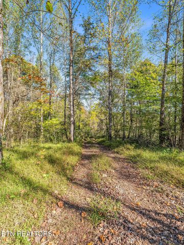 Friendship Hollow Rd, Speedwell, TN 37870