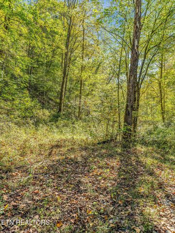 Friendship Hollow Rd, Speedwell, TN 37870