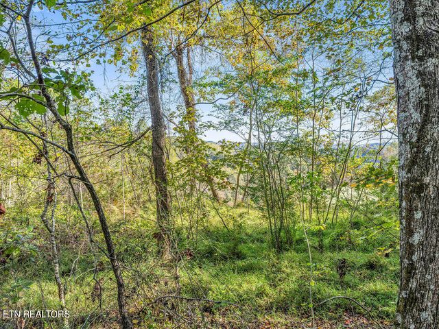 Friendship Hollow Rd, Speedwell, TN 37870