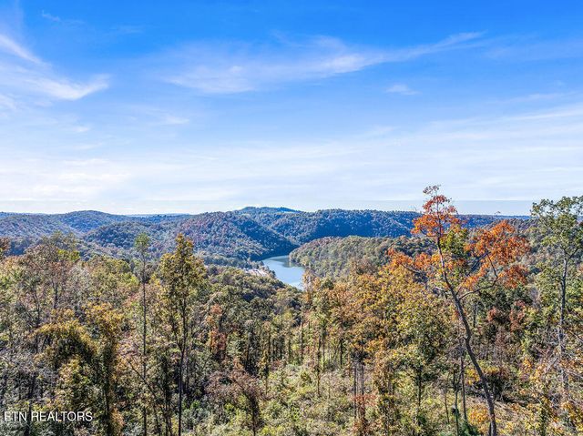 Friendship Hollow Rd, Speedwell, TN 37870