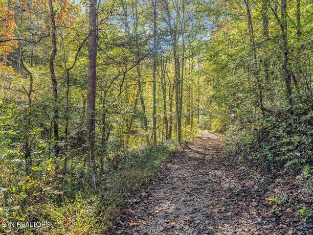 Friendship Hollow Rd, Speedwell, TN 37870