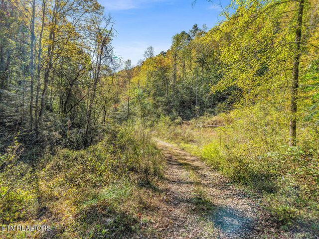 Friendship Hollow Rd, Speedwell, TN 37870