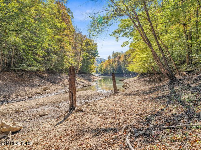 Friendship Hollow Rd, Speedwell, TN 37870