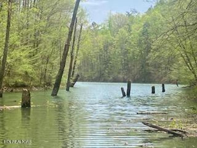 Friendship Hollow Rd, Speedwell, TN 37870