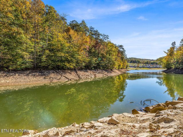 Friendship Hollow Rd, Speedwell, TN 37870