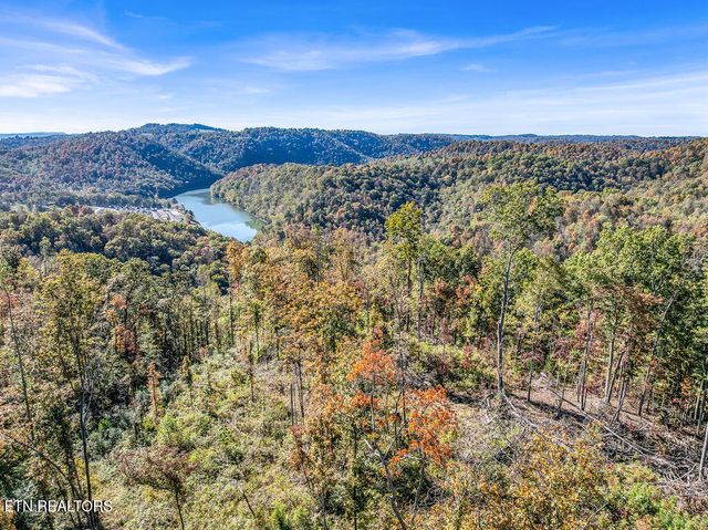 Friendship Hollow Rd, Speedwell, TN 37870