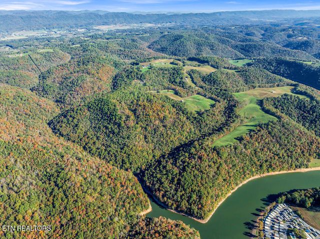 Friendship Hollow Rd, Speedwell, TN 37870