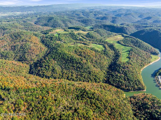 Friendship Hollow Rd, Speedwell, TN 37870