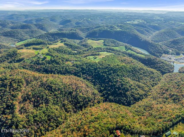 Friendship Hollow Rd, Speedwell, TN 37870