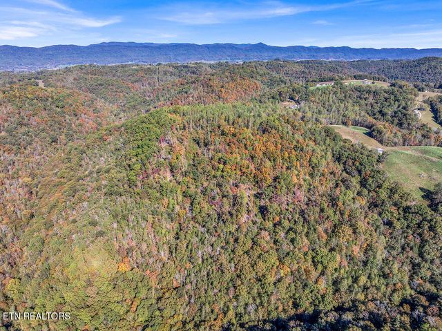 Friendship Hollow Rd, Speedwell, TN 37870