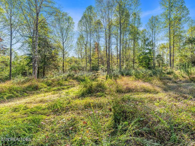 Friendship Hollow Rd, Speedwell, TN 37870